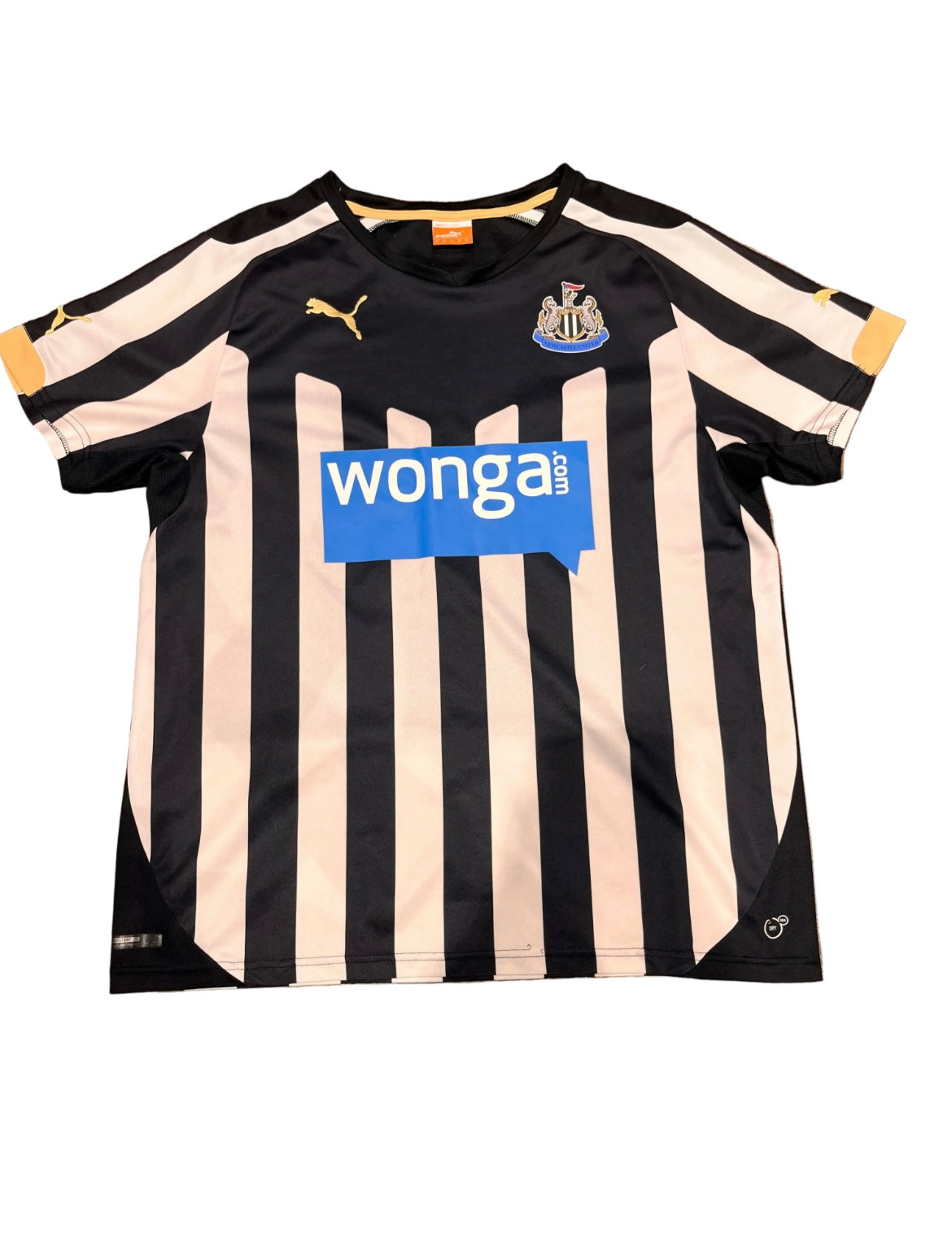 Domicile Newcastle 2014/2015 (M)