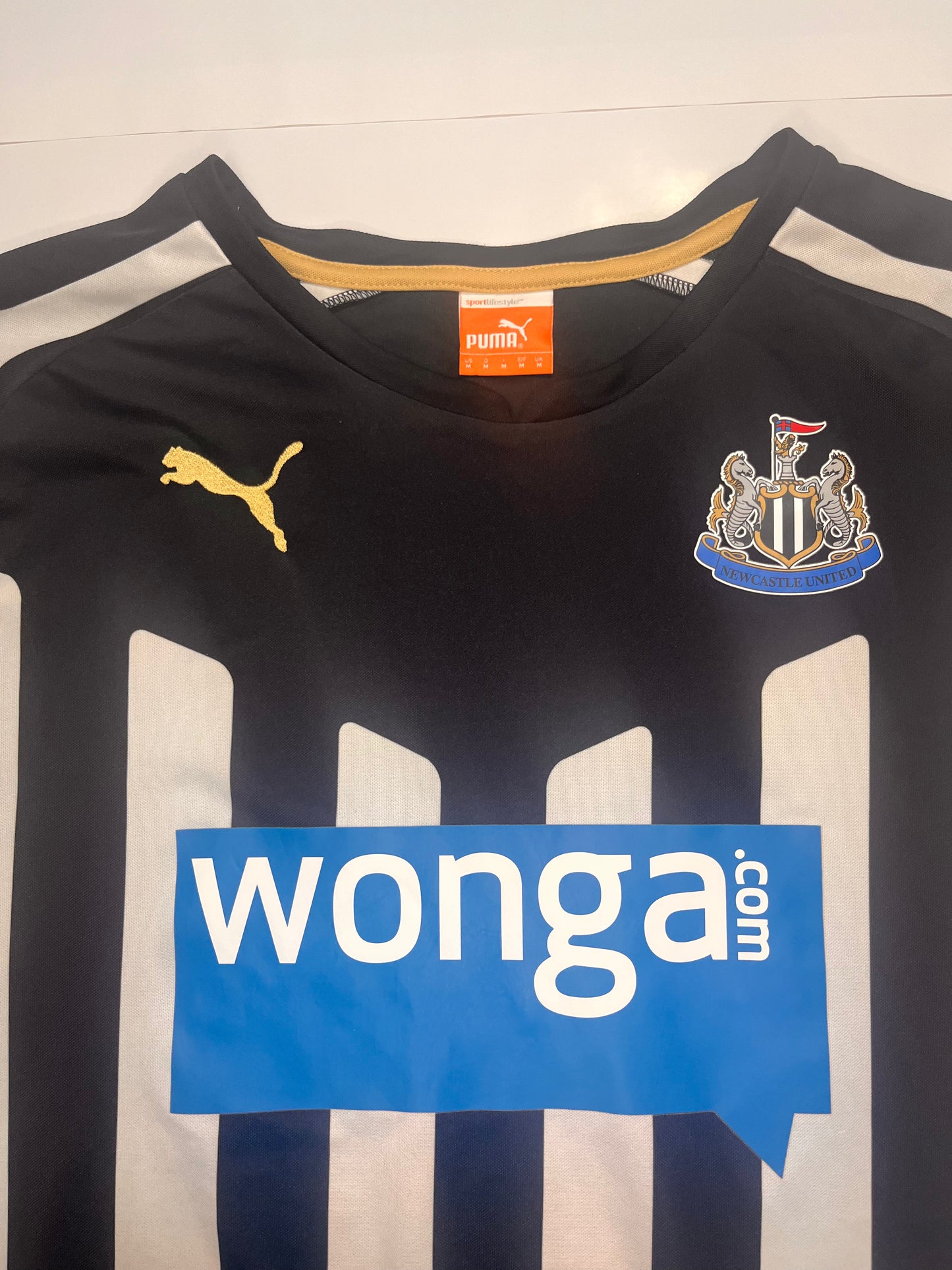 Domicile Newcastle 2014/2015 (M)